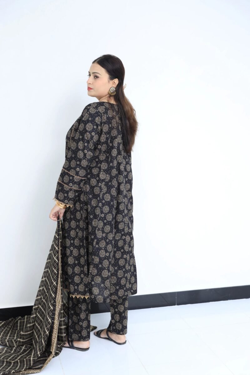 Stitched Lightweight Lawn Suit - Image 5