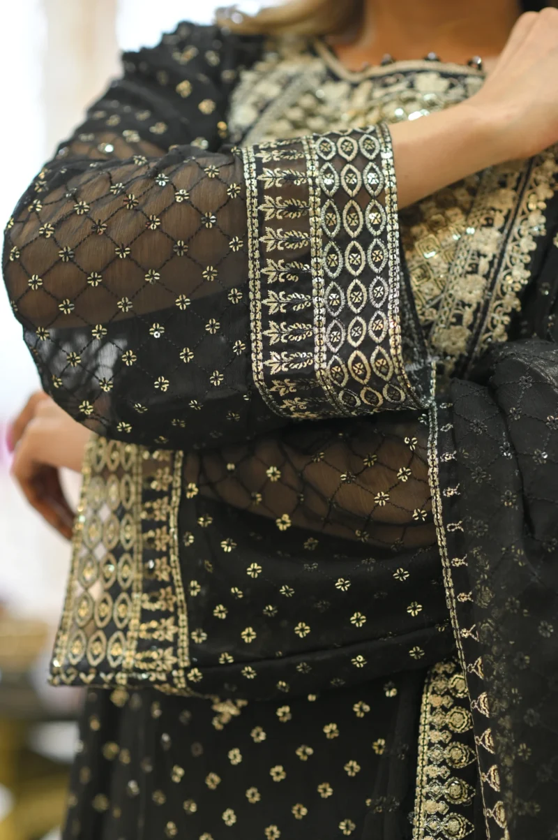 3-Piece Chiffon Embroidered Suit - Image 4