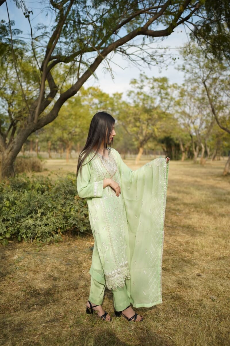 3-Piece Chiffon Embroidered Dress - Image 3