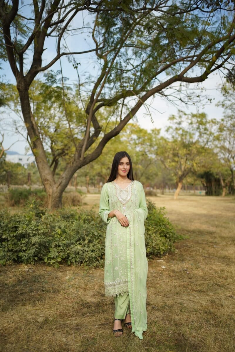 3-Piece Chiffon Embroidered Dress