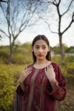 3-Piece Cotton Embroidered Dress - Image 2