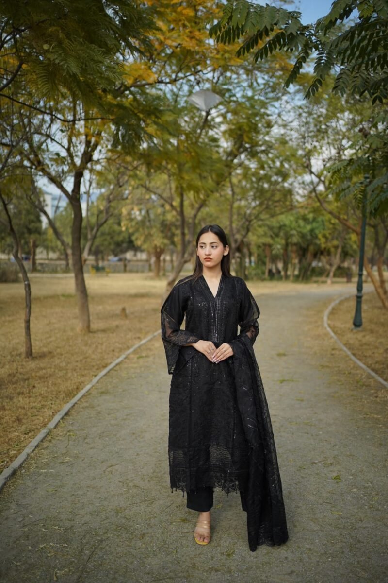3-Piece Organza Dress with Black Embroidery and Sequins – Elegant Chikan Kari Set